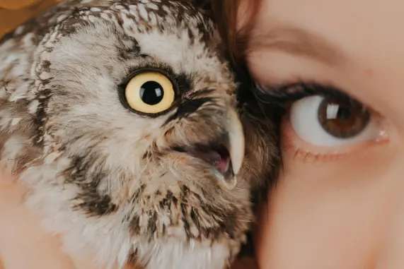 MatchUp Casino Soporte